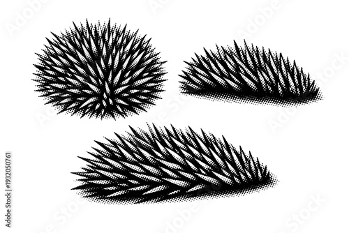 European hedgehog spines A cluster of European hedgehog spines treated as a single anatomical object, with varied length and density, shown in three views to