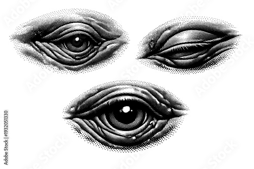 Blue whale eye. A realistic blue whale eye shown as the same object in three different views highlighting small scale relative to body mass, eyelid structure,