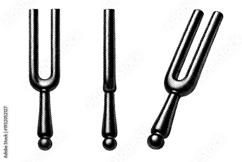 Tuning fork shown as a single physics instrument in front view, side profile, and angled perspective emphasizing prongs, stem, and balanced proportions. Black