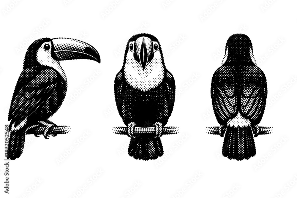 Naklejka premium Toucan full body perched posture displayed in side view, front view, and rear view emphasizing compact body and upright stance. Black and white dot style with