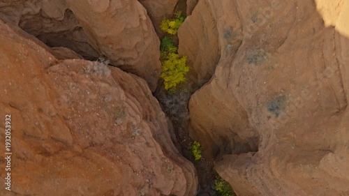 Aerial view captures vast Konorchek canyons with eroded sandstone walls, scattered trees, and a serene stream bed. Natural beauty highlights arid desert landscape under bright daylight.