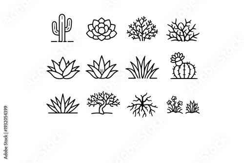 Desert Plants. Line icon set of Desert Plants: cactus, succulent plant, desert shrub, thorny bush, aloe plant, agave, dry grass, flowering cactus, spiky