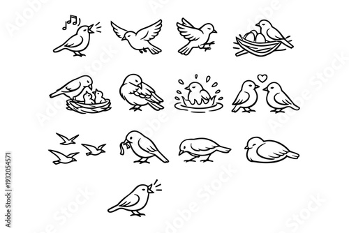 Bird Behaviors. Line icon set of Bird Behaviors: bird singing, bird flying, bird landing, bird nesting, bird feeding chicks, bird preening, bird bathing, bird
