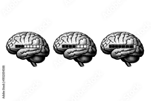 Brain loading bar ? detailed human brain with segmented progress bar embedded across the cortex shown initial, mid-progress, and completed states. Black and