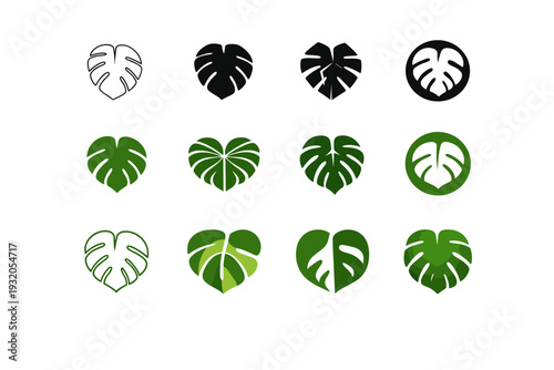 Exotic plants. Icon set. Set Logo of Exotic plants: tropical leaf monstera. harmonious logo variations of the same emblematic concept, each with different