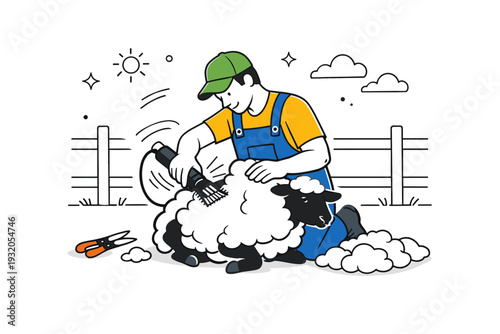 Farming animals in action ? shearing sheep. Farmer carefully shearing a sheep with electric clippers, smooth repetitive motion and seasonal farm routine. Clean