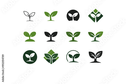 Flora. Icon set. Set Logo of flora: plant sprout. harmonious logo variations of the same emblematic concept, each with different artistic interpretation