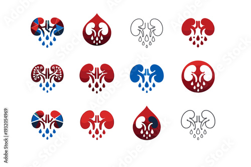 Kidneys filtering blood. Icon set. Set Logo of kidneys filtering blood: kidney cross-section filtration. harmonious logo variations of the same emblematic