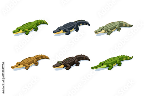 CrocodileSpecies. Isometric flat vector icons set of CrocodileSpecies: nile crocodile, saltwater crocodile, american crocodile, freshwater crocodile, dwarf