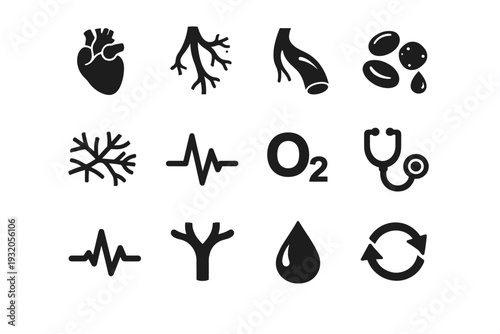Circulatory system. Solid icon set of circulatory system: heart, arteries, veins, blood cells, capillaries, pulse, oxygen molecule, stethoscope, ECG line, vein