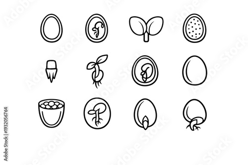 Seed Anatomy. Line icon set of Seed Anatomy: seed coat, embryo inside seed, cotyledon pair, endosperm, radicle tip, plumule shoot, seed cross