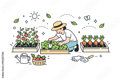 Vegetable gardening scene. Small home garden beds filled with fresh vegetables, a person tending to them, soft sunlight and greenery creating a peaceful and