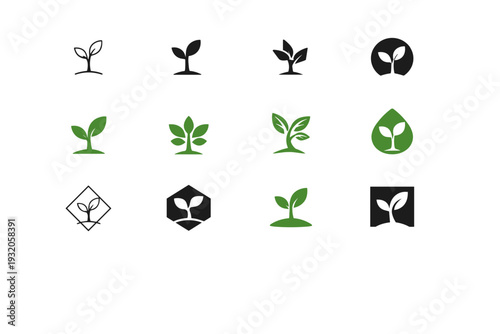Little tree. Icon set. Set Logo of Little tree: young sapling. harmonious logo variations of the same emblematic concept, each with different