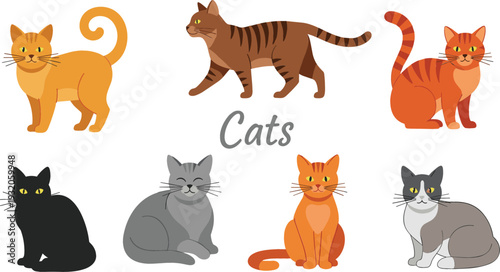 Cute cat illustration set in different poses and colors, flat cartoon style pets isolated on white background