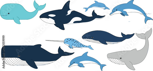Whales and Dolphins Illustration Set – Cute Ocean Mammals Collection in Flat Cartoon Style