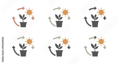 Potted plant sun cycle icon set illustration depicting the continuous exchange of energy vital for plant life and environmental balance.