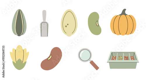 Various seeds, gardening tools, and plant elements are depicted in a charming flat design illustration, perfect for themes of agriculture, horticulture, and growth.