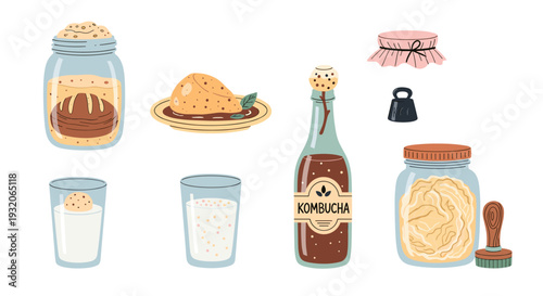 Homemade fermented foods and drinks collection illustration featuring kombucha, bread, sauerkraut, milk, and various preserving elements.