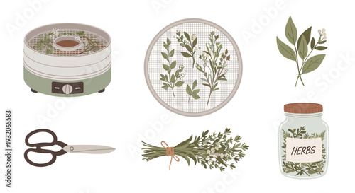 Herbs drying and storage items collection includes a dehydrator, a drying rack, scissors, and a jar, all essential for preserving fresh botanicals.