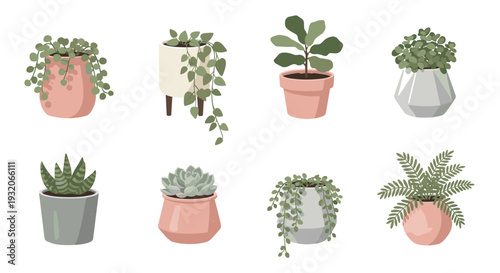 Potted houseplants collection features a variety of green plants in stylish pots, perfect for modern home decor and interior design.