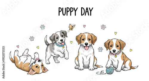 Four Playful Puppies on White Background.