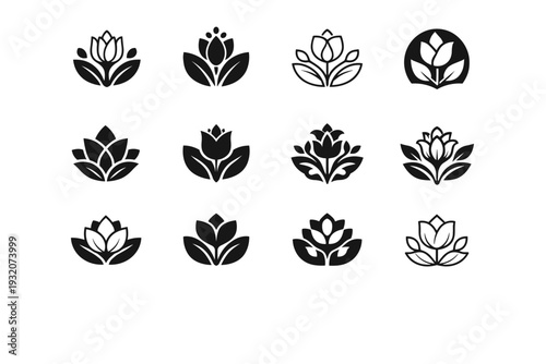 Nature vibe package design with flowers plants. Icon set. Set Logo of Nature vibe package design with flowers plants: floral pattern symbol. harmonious logo