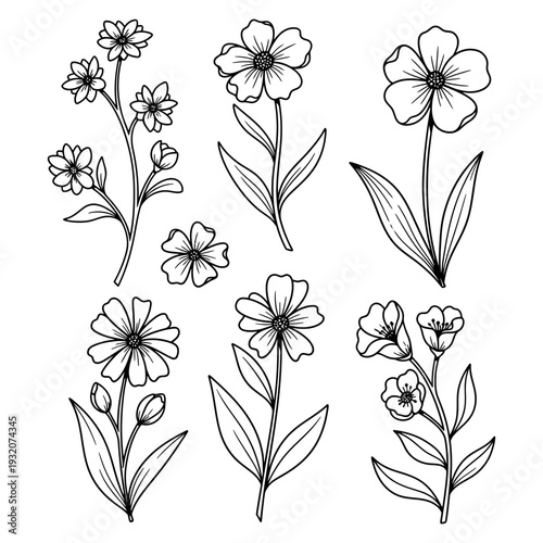 Floral Line Art Collection: A collection of exquisite floral line art, showcasing delicate petals, intricate details, and the timeless beauty of botanical elements. 