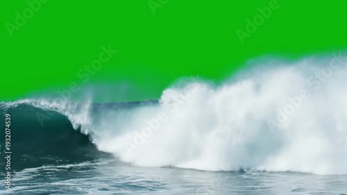 Crashing ocean wave in dramatic motion with bright white foam against green screen background for surfing advertisement