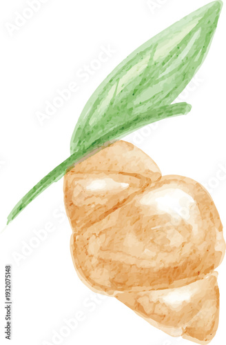 children's style watercolor chrysalis hand drawn illustration