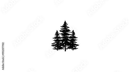 A silhouette of three evergreen trees clustered together, set against a stark white backdrop