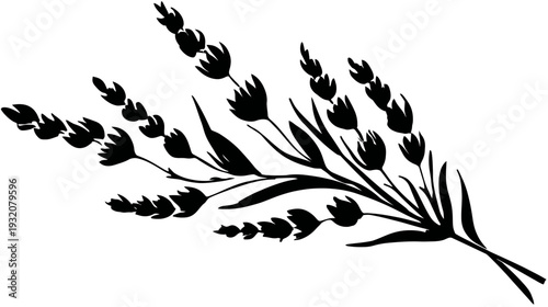 A monochrome illustration of a botanical arrangement featuring stylized floral elements