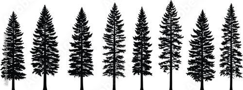 Pine and fir tree silhouette set with evergreen spruce forest elements for nature park cad drawing flat vector illustration design,