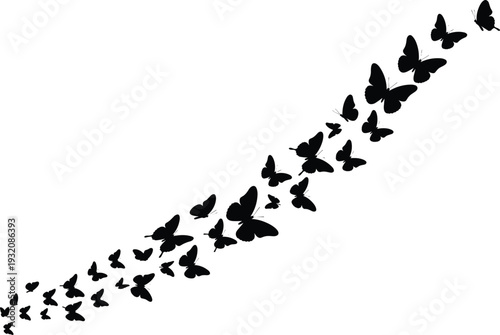Flying butterfly silhouette trail, black vector design, freedom concept, insects in motion, decorative nature element, artistic butterfly swarm formation