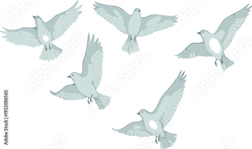 Flying dove illustration, bird silhouette artwork, peace symbol vector, flock of pigeons design, freedom flight drawing, nature animal artwork image