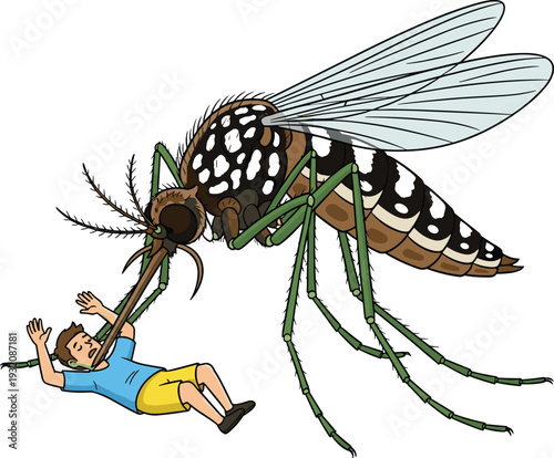 Giant mosquito, cartoon, attack, scared boy, insect, vector, bite, fear, danger, funny, oversized bug, panic, terror, bloodsucker, 