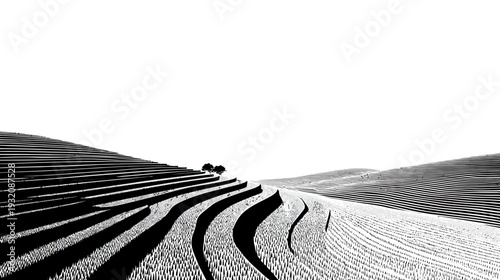 Black and white landscape of tiered farmland with a small cluster of trees