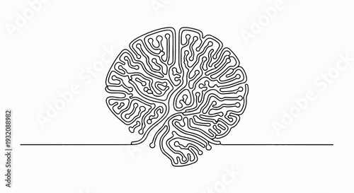 Simple line drawing of a human brain illustration on white background.