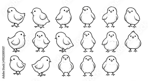 Collection of cute cartoon chicks in various poses and expressions