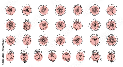 Collection of pink cherry blossom flowers in various stages of bloom