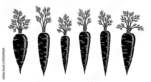 Set of five illustrated carrots with leafy tops