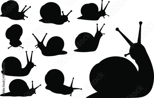 Snail silhouettes collection, crawling garden mollusk in different poses, simple black vector illustration set isolated on white background