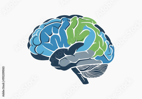 Colorful Cartoon Brain Hemisphere Side View with Sectioned Cortex Areas for Education