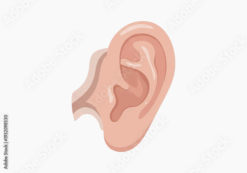 Educational side view illustration of peach human ear anatomy on white background