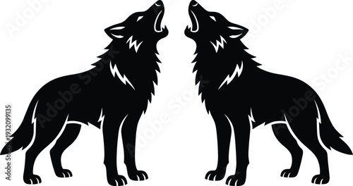 Black silhouettes of two wolves howling at the sky facing each other on white background for wildlife and nature concept