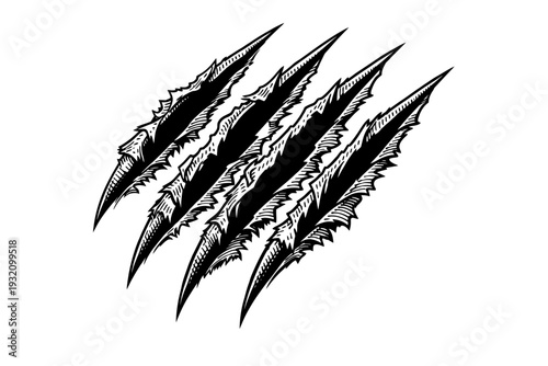 Dynamic black and white vector illustration of four ferocious beast claw marks, sharp and aggressive slashes tearing through a surface. Ideal for grunge, horror, Halloween, monster, animal attack them