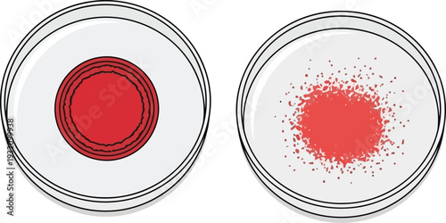 Bacterial Colony Growth Patterns in Petri Dishes, Microbiology Laboratory Illustration