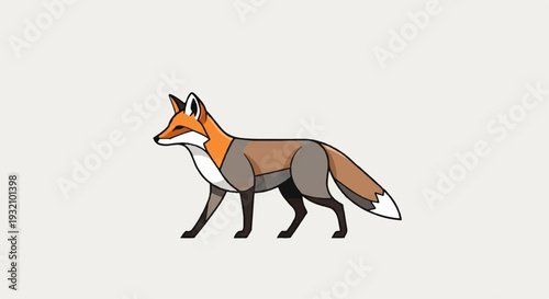 Illustration of a red fox walking on a white background.