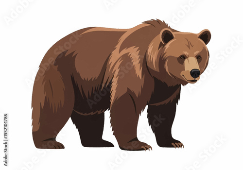 Brown bear standing on white background, cartoon style, detailed illustration, wildlife animal, forest creature, mammal portrait.