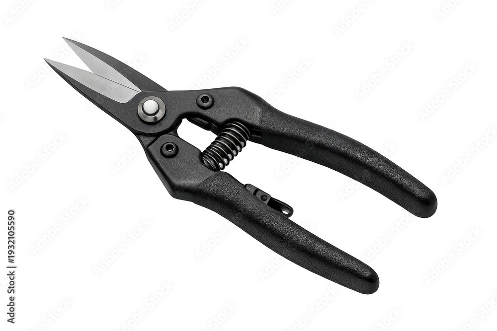 Obraz premium Gardening pruning shears tool with black handle