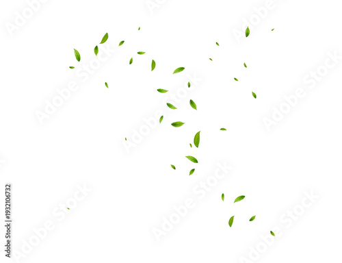 Dynamic swirl of green leaves blowing in the wind vector